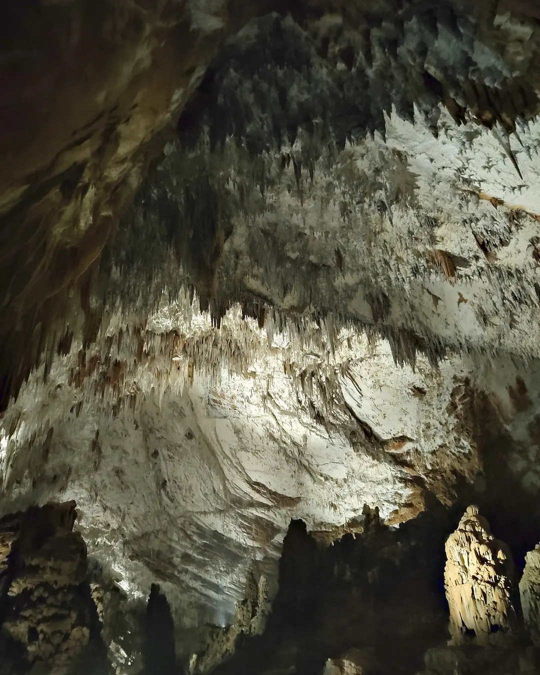 Volta della grotta coperta di stalattiti