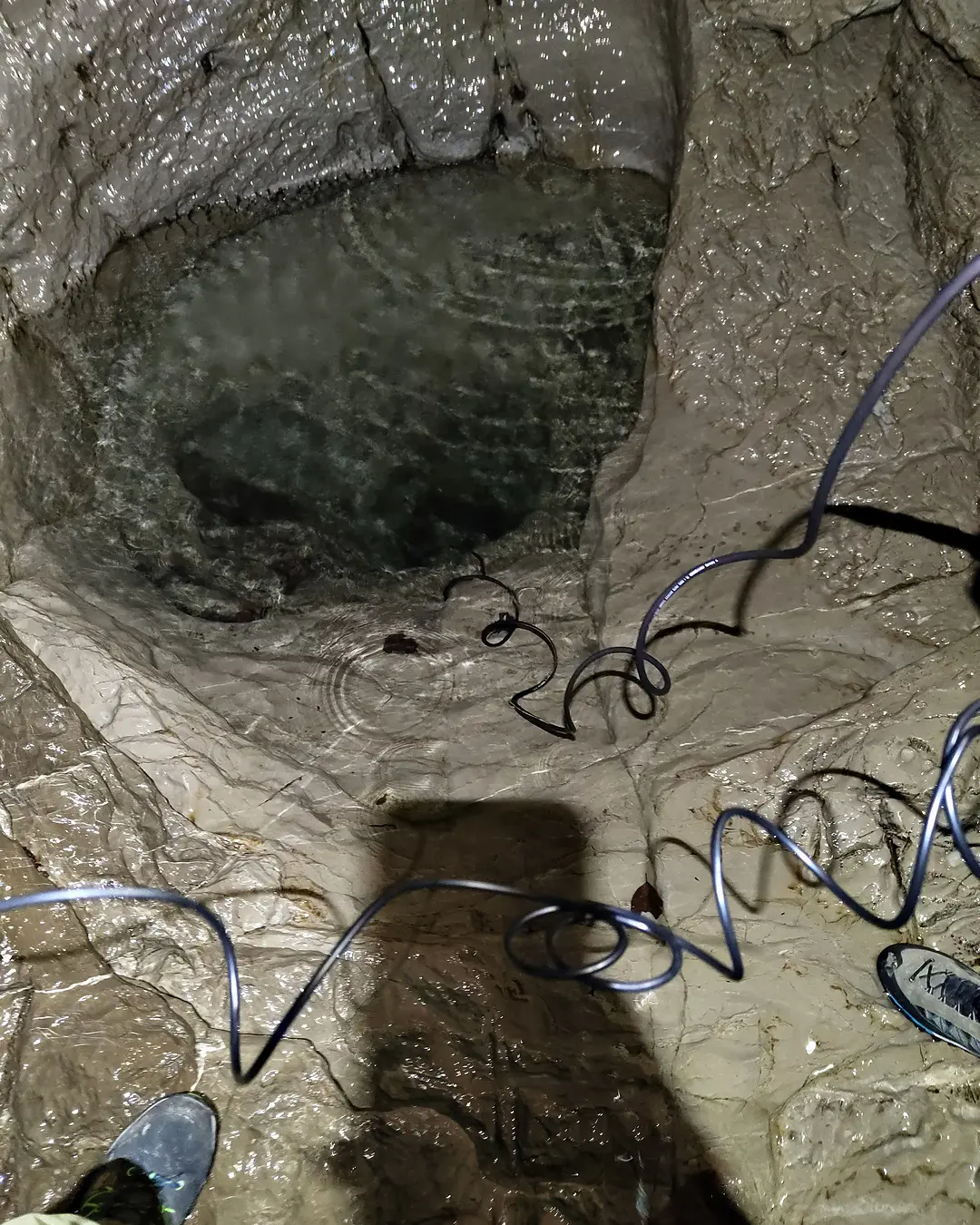 Cavi dei microfoni a contatto attorno a una vasca d'acqua