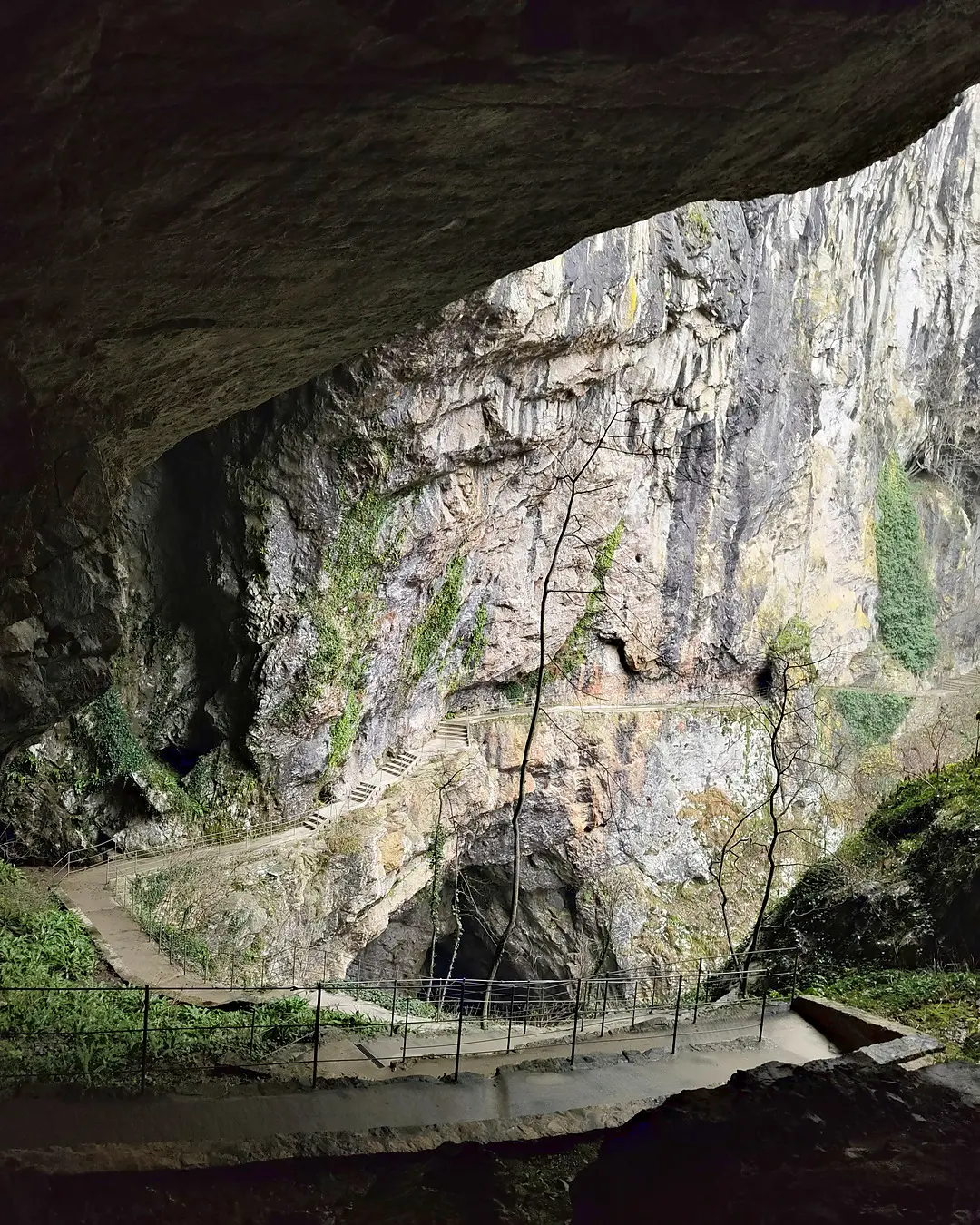Ingresso della grotta visto dall'interno