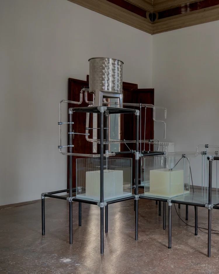L'installazione To Wet to Wait nella sala di Soap Culture (1/2)