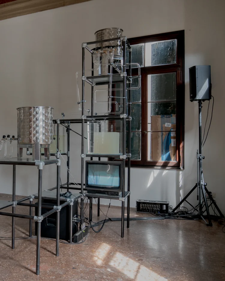 L'installazione To Wet to Wait nella sala di Soap Culture (2/2)